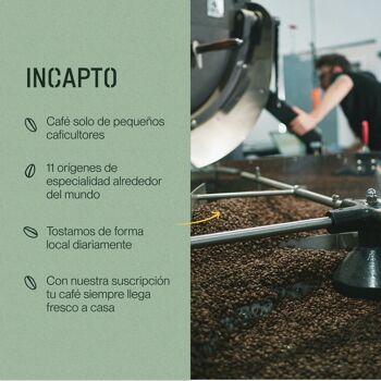 Café en Grano Naturel INCAPTO - MÉLANGE FORT | Café Fuerte et Amargo | Mezcla de Orígenes - Ouganda, Brésil et Pérou 5