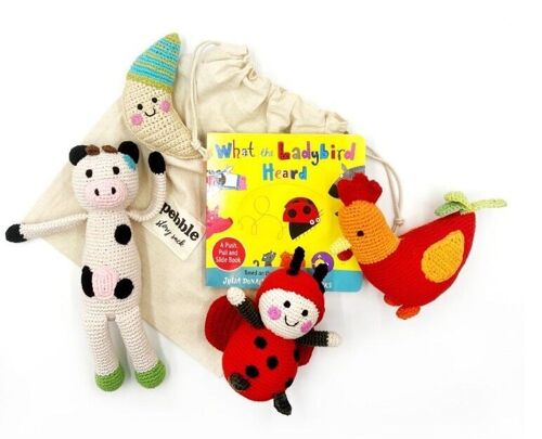 Baby Learning Toy What the ladybird heard story sack