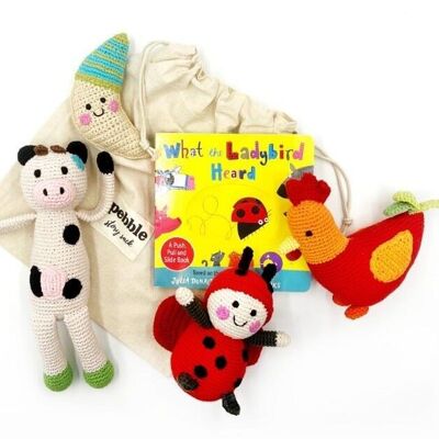Baby Learning Toy What the ladybird heard story sack