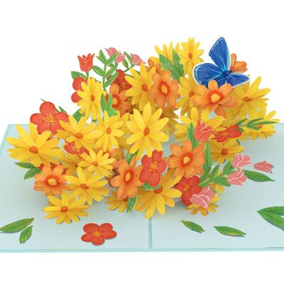 Marguerites colorées avec carte pop-up papillon