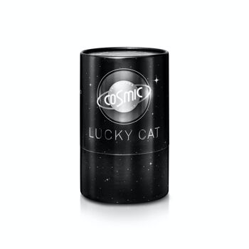 Lucky Cat Cosmic Argent Brillant 3