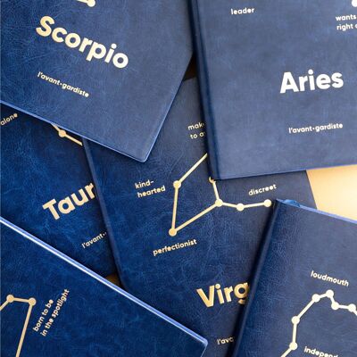 Pack Zodiac Books - English Version ✨