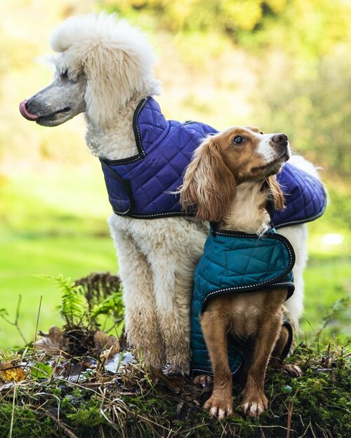 Henry Wag Quilted Dog Jacket