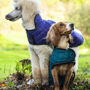 Veste pour chien matelassée Henry Wag