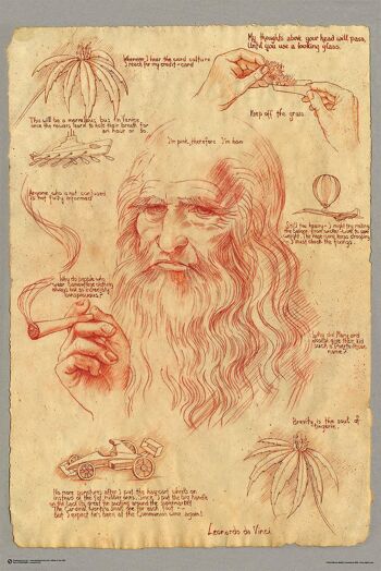 Leonardo Smoking Pot Affiche 91,5 x 61 cm 1