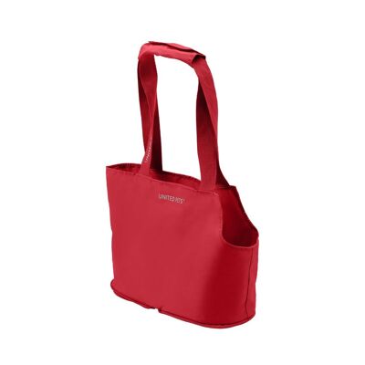 Foldable carrier bag with safety carabiner