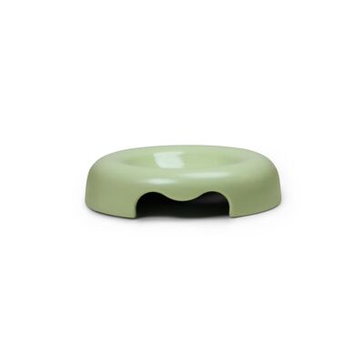 Design bowl with low edges for green cats