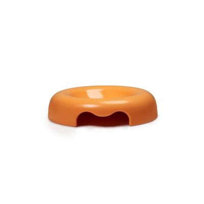 Design bowl with low edges for orange cats