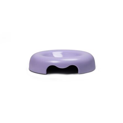 Design bowl with low edges for lilac cats