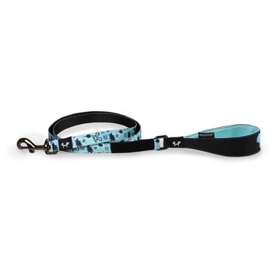 Nylon leash with stainless steel details