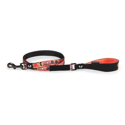 Nylon leash with stainless steel details
