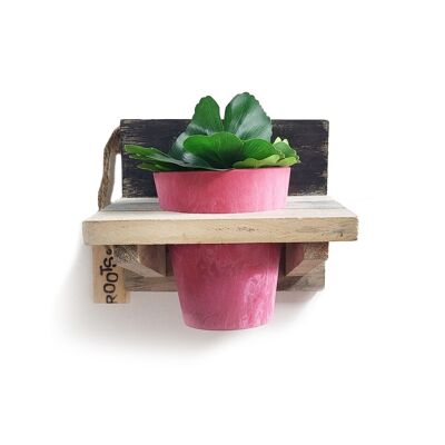 'Roots' Ensembles de supports à pots Calm 14cm suspendus en bois avec 1 pot Artstone