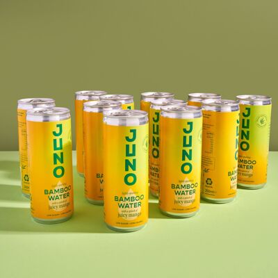 Juno Bamboo Water - Juicy Mango