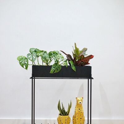 Soporte para plantas Jardinier