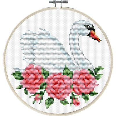 Cygne Rose