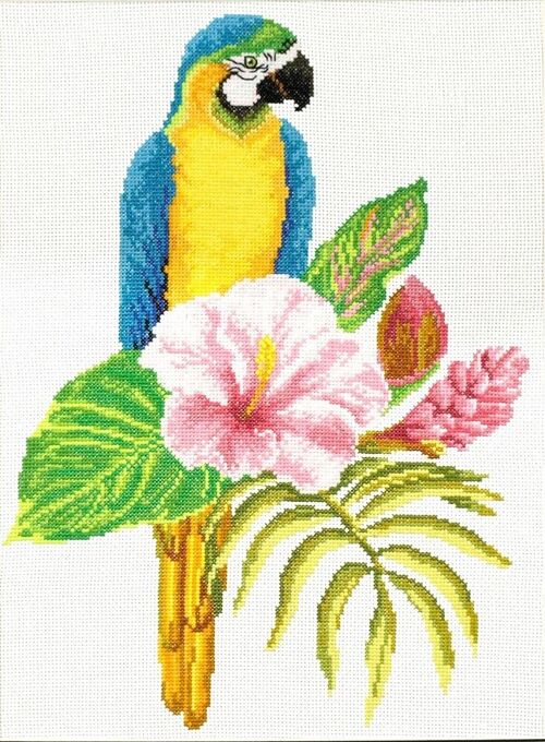 Hibiscus Macaw