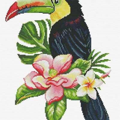 Toucan look out