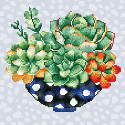 SUCCULENT BOWL