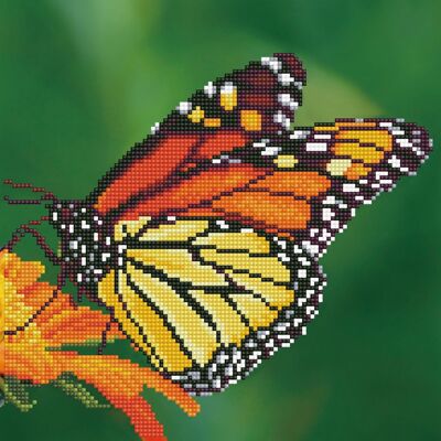 Monarch butterfly