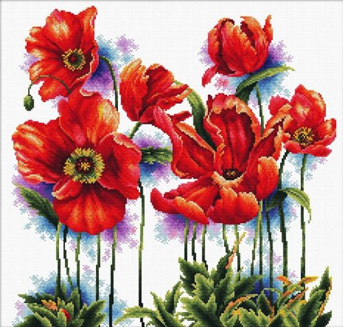 Lovely Poppies