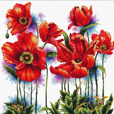 Lovely Poppies