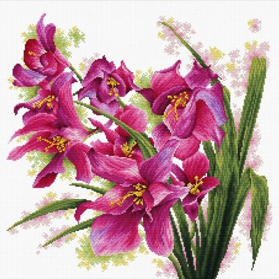 Belles orchidées
