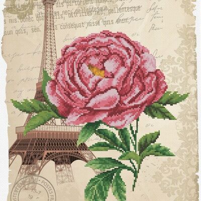 rose romantique