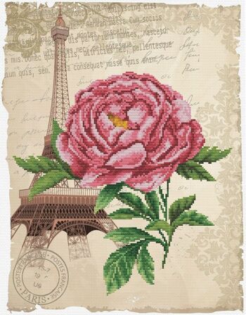 rose romantique