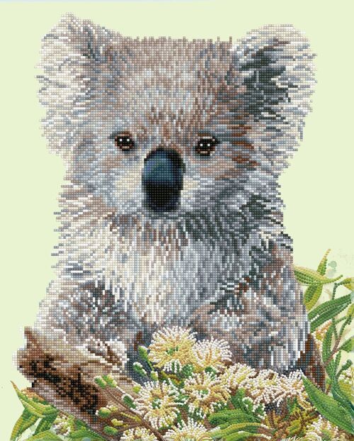 Koala &amp; Eucalypus Blossom