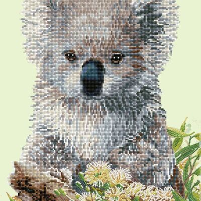 koala &amperio; flor de eucalipto