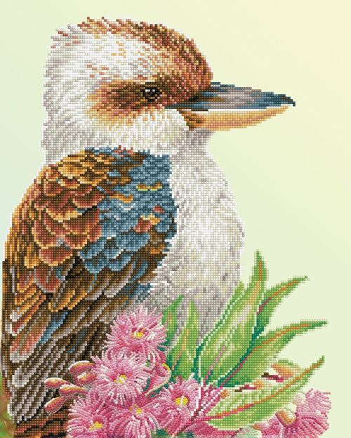 Kookaburra &amp; Gum Blossom