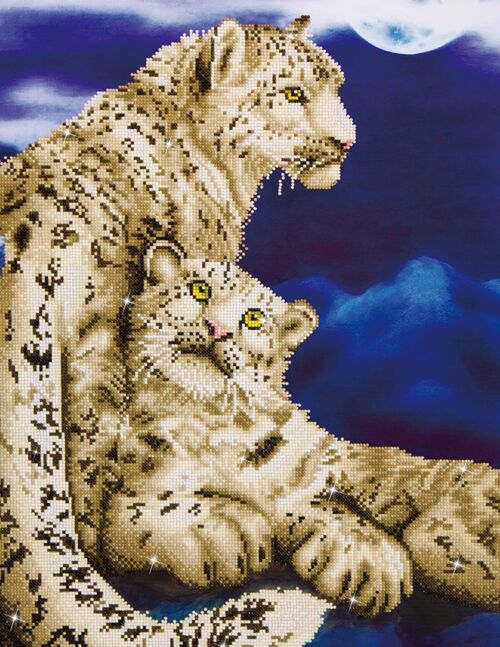 Snow Leopards