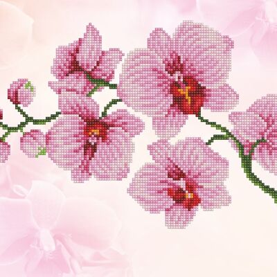 Aerosol de orquídeas
