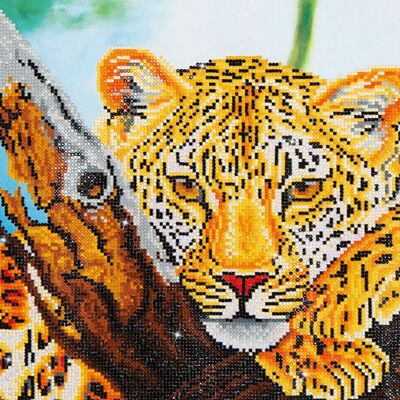 mirada de leopardo