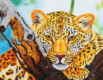 aspect léopard