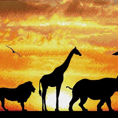 African Sky