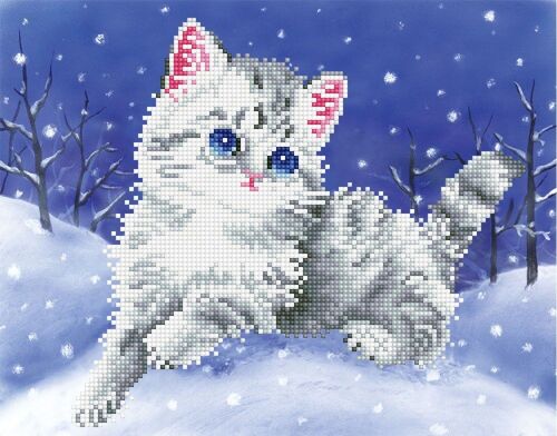 Kitten in the Snow with Frame