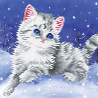 Gattino nella neve con telaio