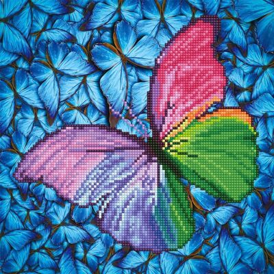 Flutter by Pink avec cadre