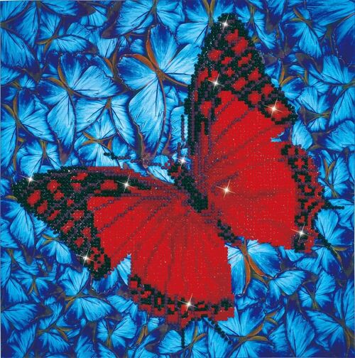 Flutter by Red with Frame