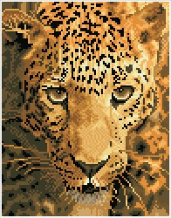 Jaguar Prowl avec cadre