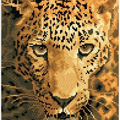 Jaguar Prowl with Frame