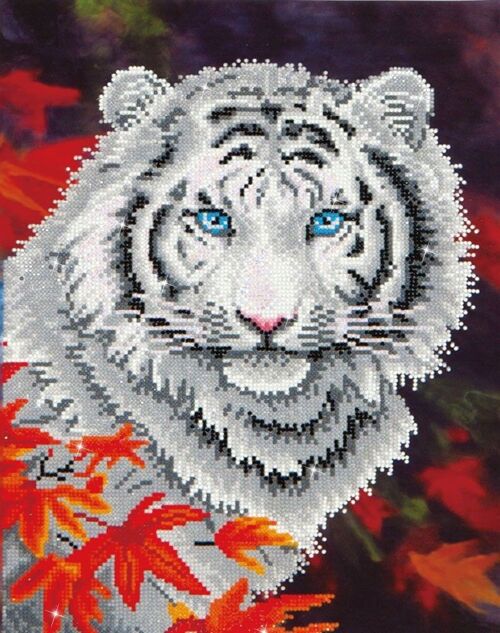 White Tiger in Autumn with Frame