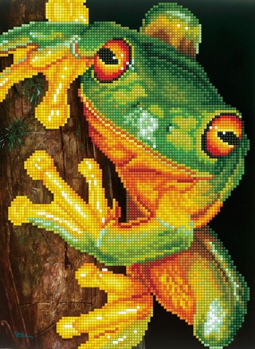 Green Tree Frog with Frame