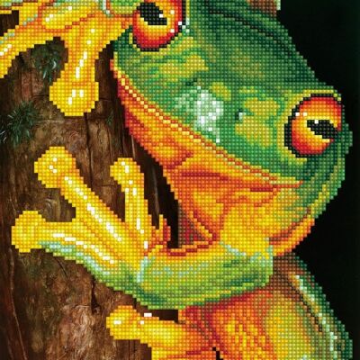 Green Tree Frog with Frame