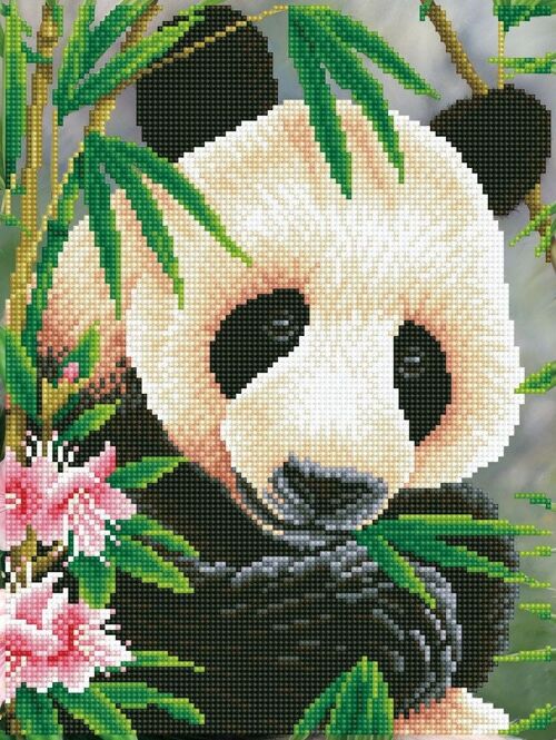 Panda Prince with Frame