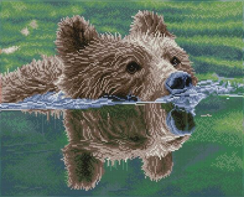 Grizzly swim