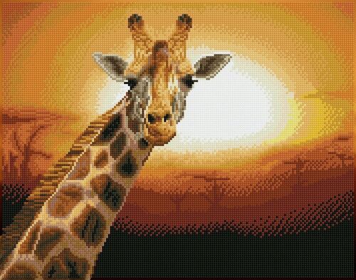 Sunset Giraffe
 Amboseli National Park, Kenya