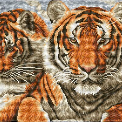 Tigers - Pre Framed Kit