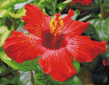 Hibiscus en fleurs - Kit pré-encadré